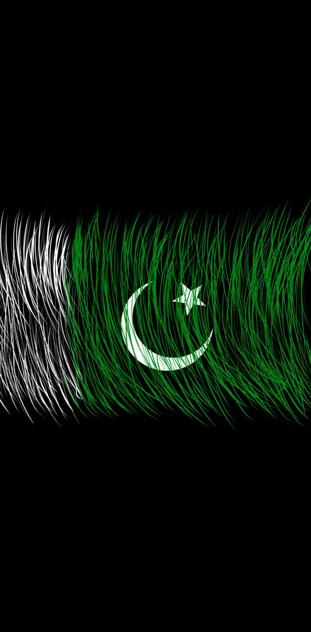 Pakistan Flag Brush