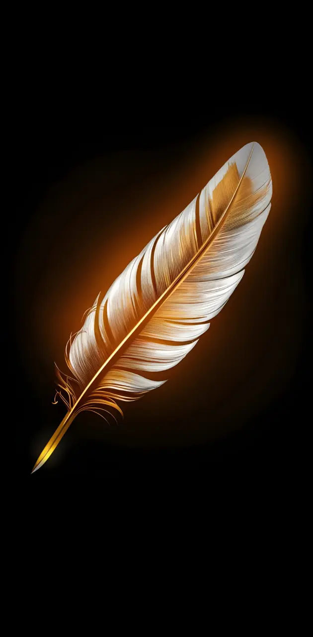 Feather on black background and golden vibe