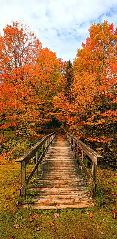 Bridge To Autumn