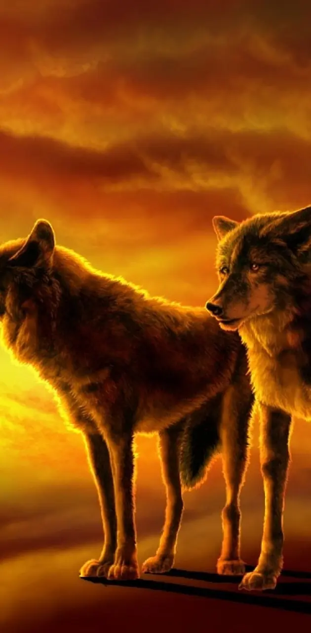 Sunset Wolves