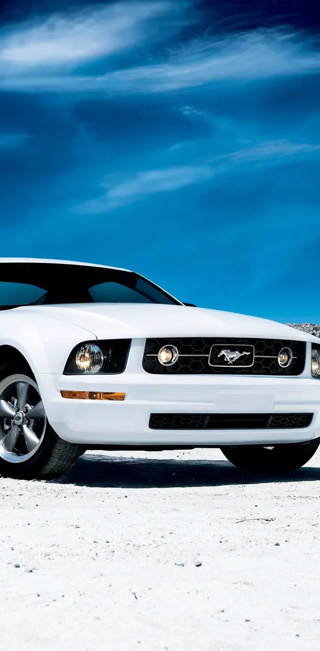 ford mustang white