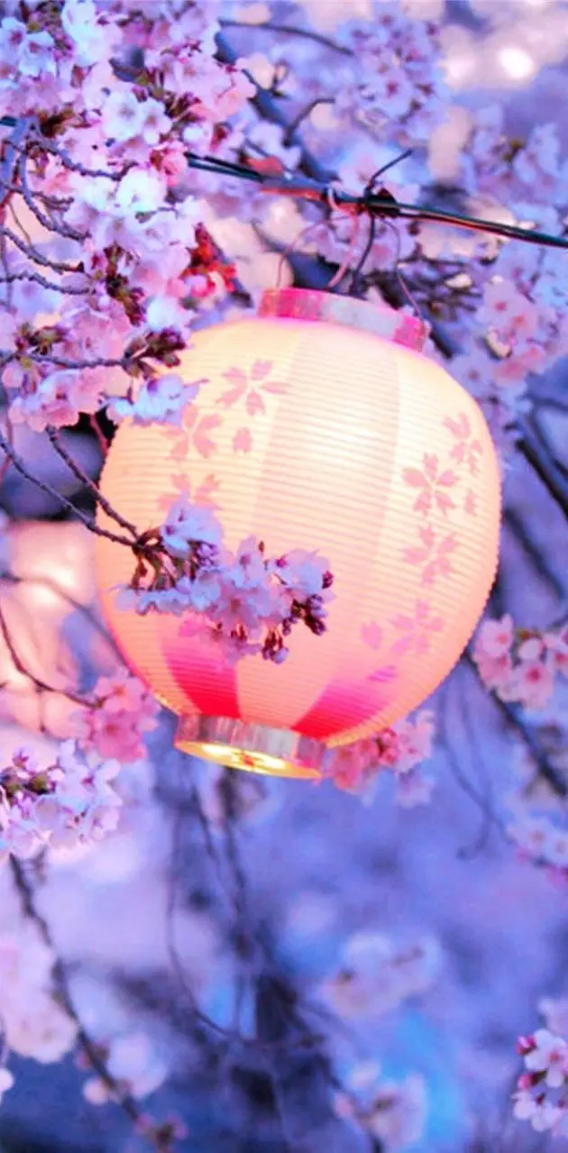 Sakura Tree Lantern