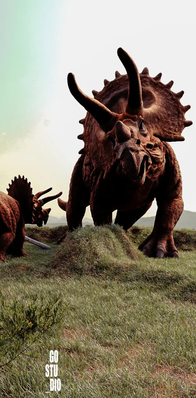 Triceratops in Paraná 