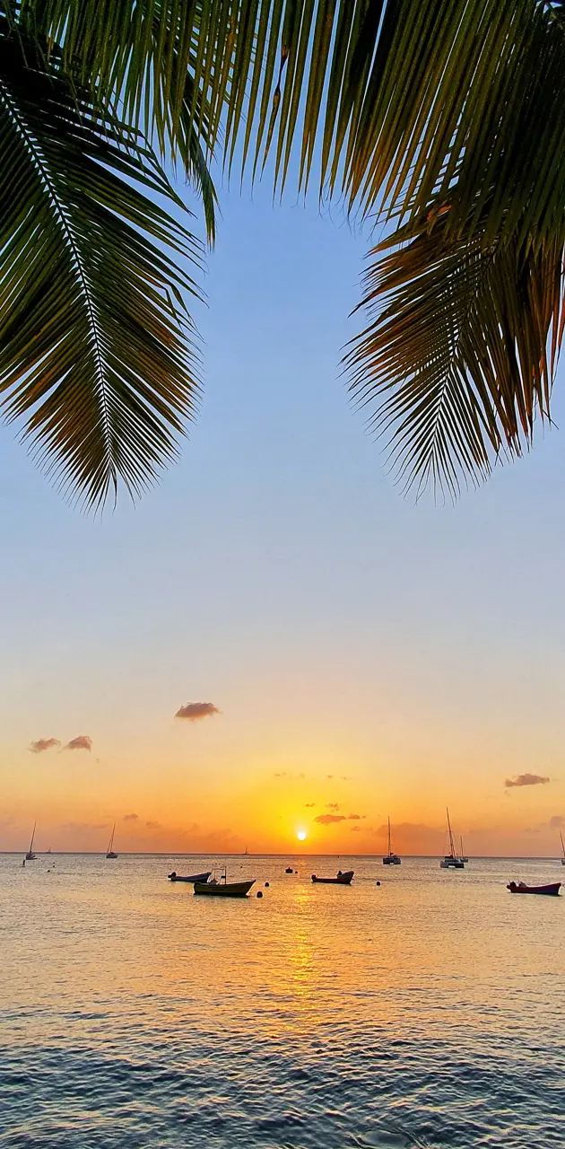 Martinique Sunset
