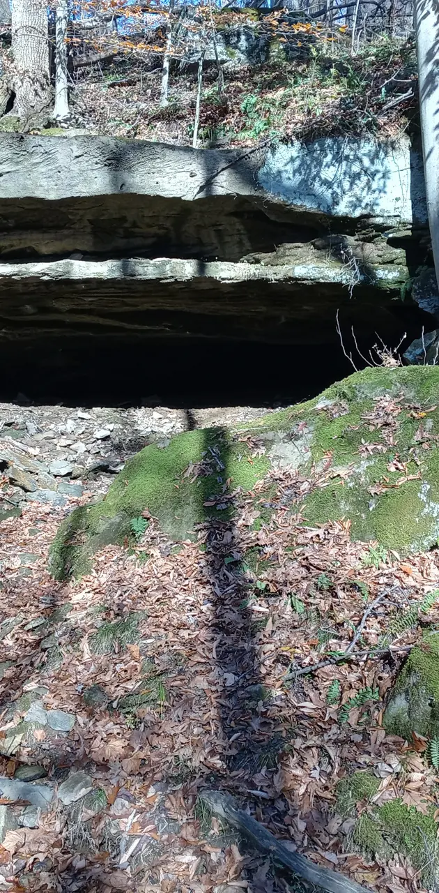 Cave in the woods