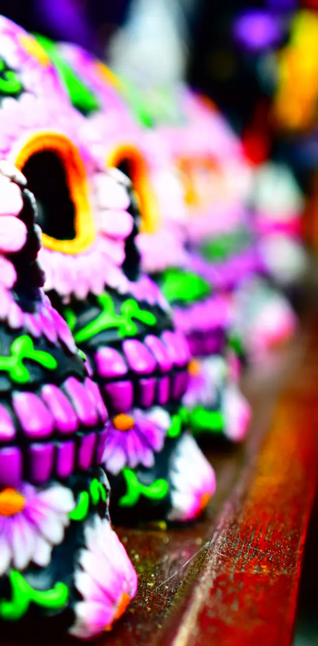 Colourful Skulls
