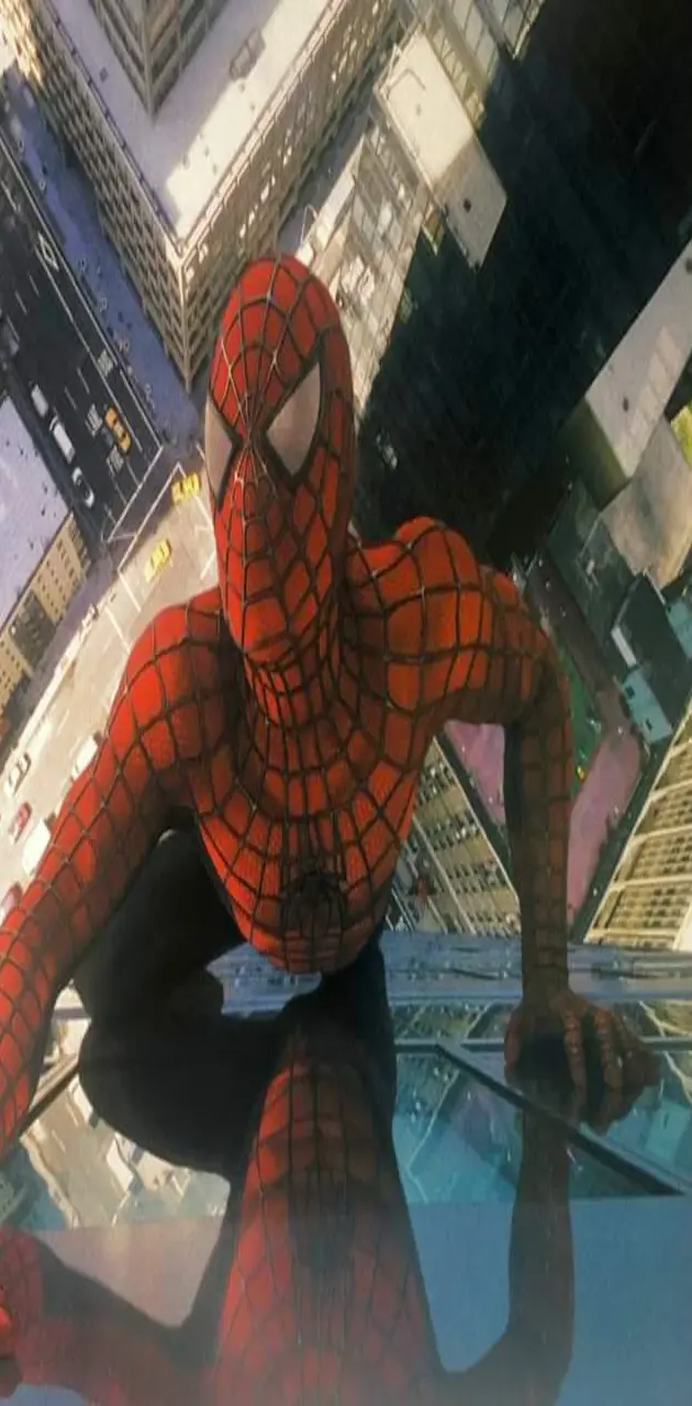 Spiderman2002