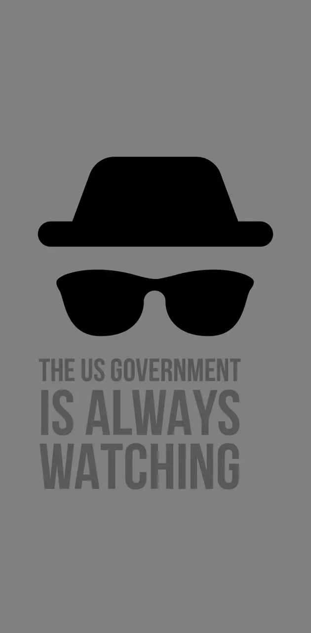 The US government 