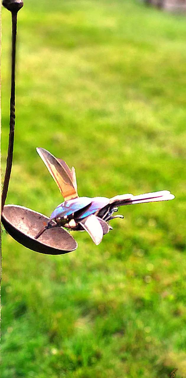 Silverware Hummingbird