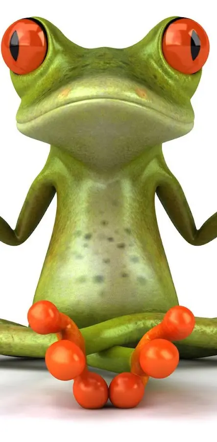 3D Funny Frog