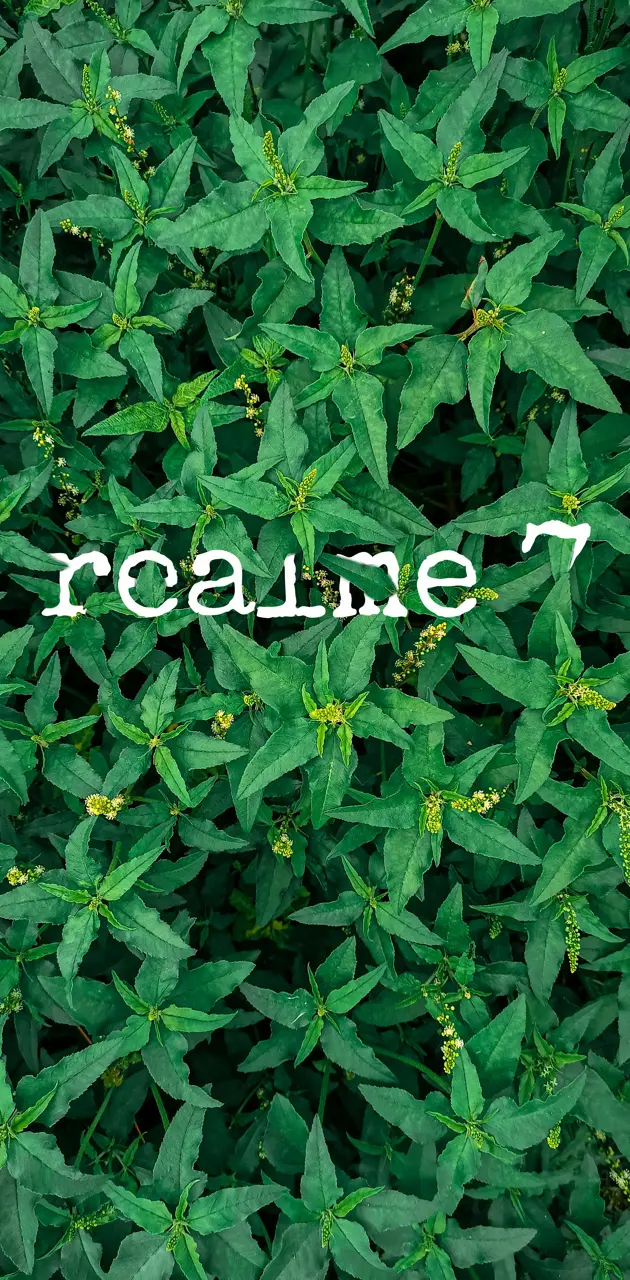 Realme 7 