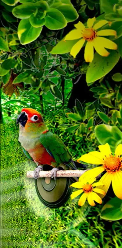 Parrot N Flower