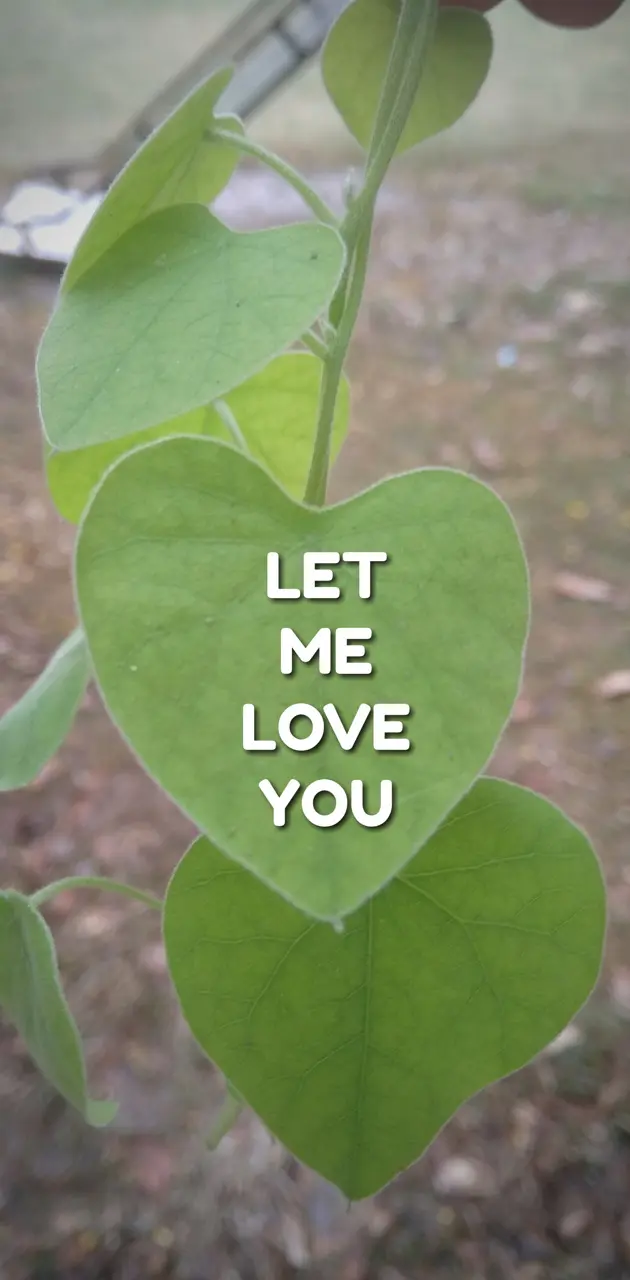 Love leaf