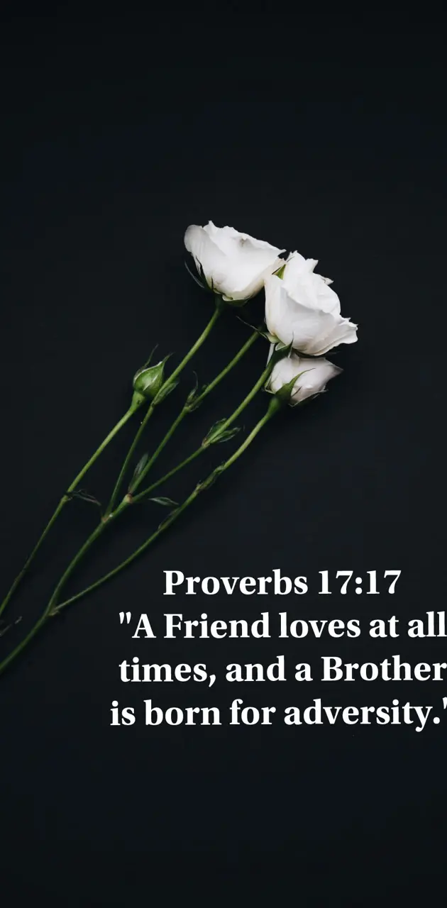 Proverbs flower 