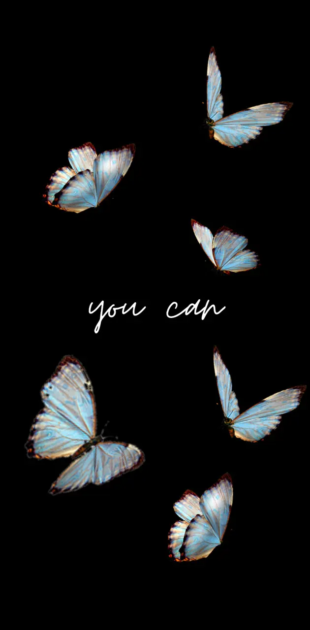 You can 