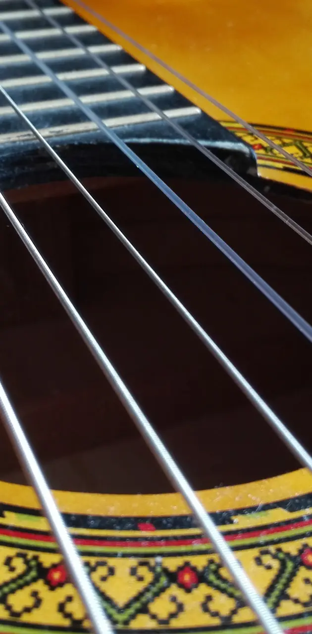 String Guitar