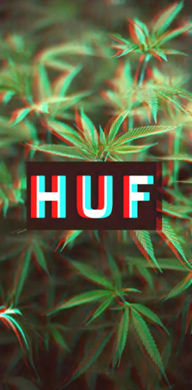 Huf leaves