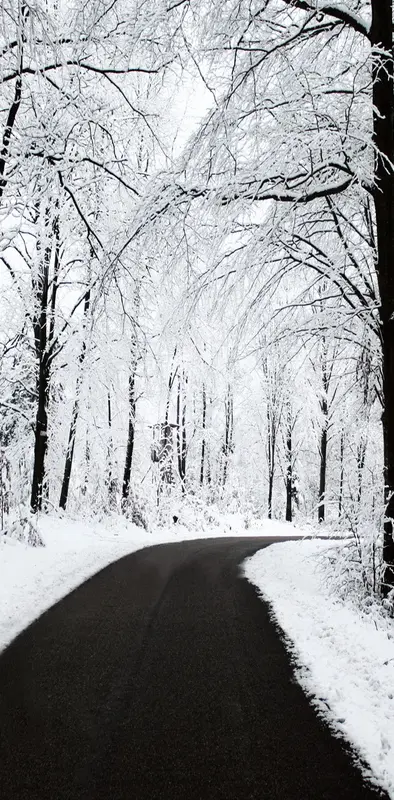 Road In Winter