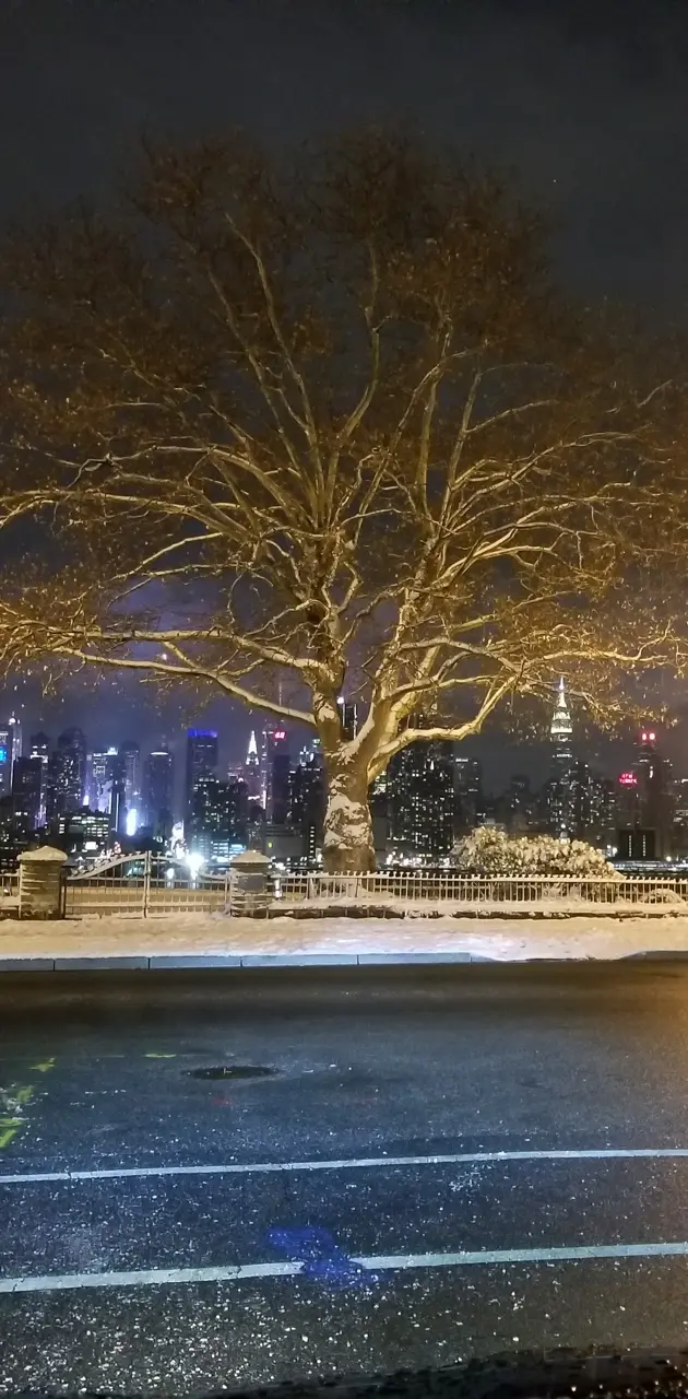 Winter NYC View