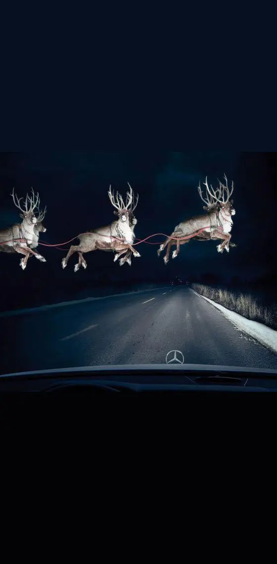 Christmas Driving