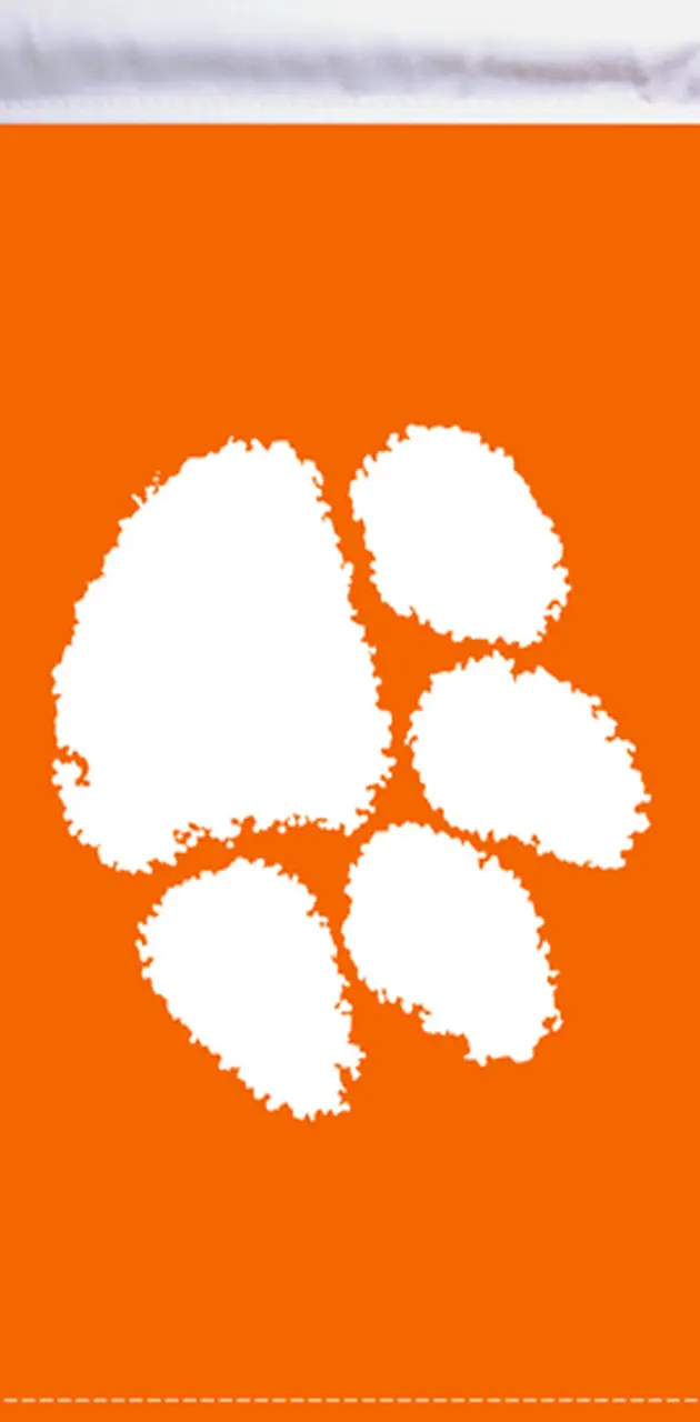 Tigers Flag