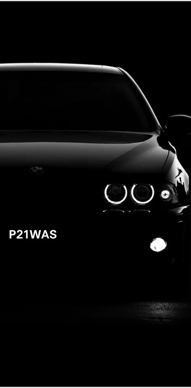 P21WAS BMW