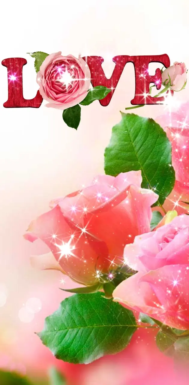 Valentines - Roses