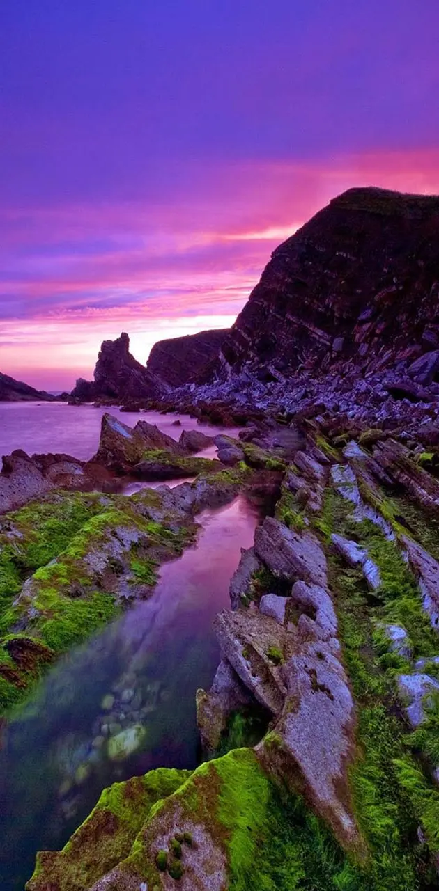 Purple sunset coast