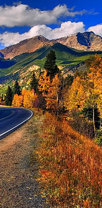 Road Of Autumn