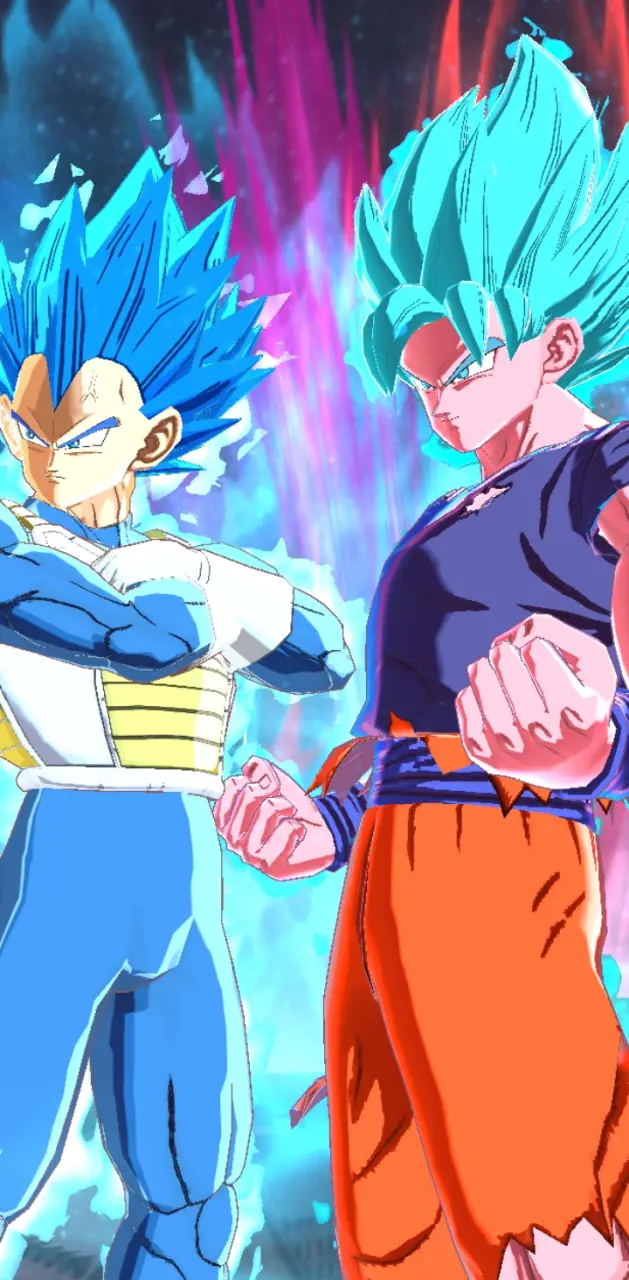 Goku y vegeta ssj blue