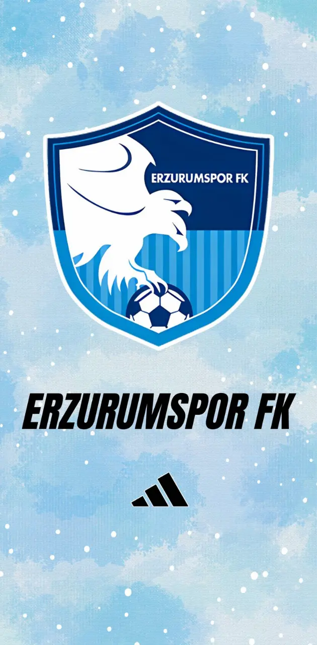 ERZURUMSPOR FK