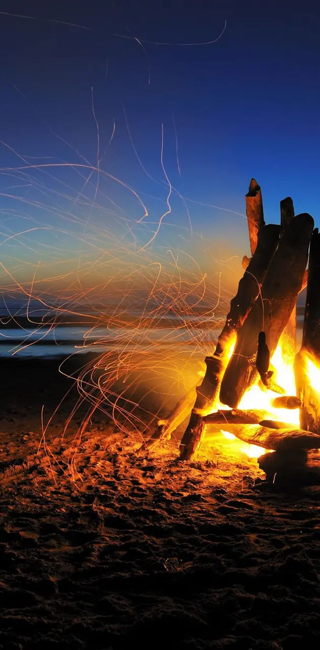 Beach Night Bonfire