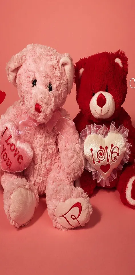 Valentine Teddys
