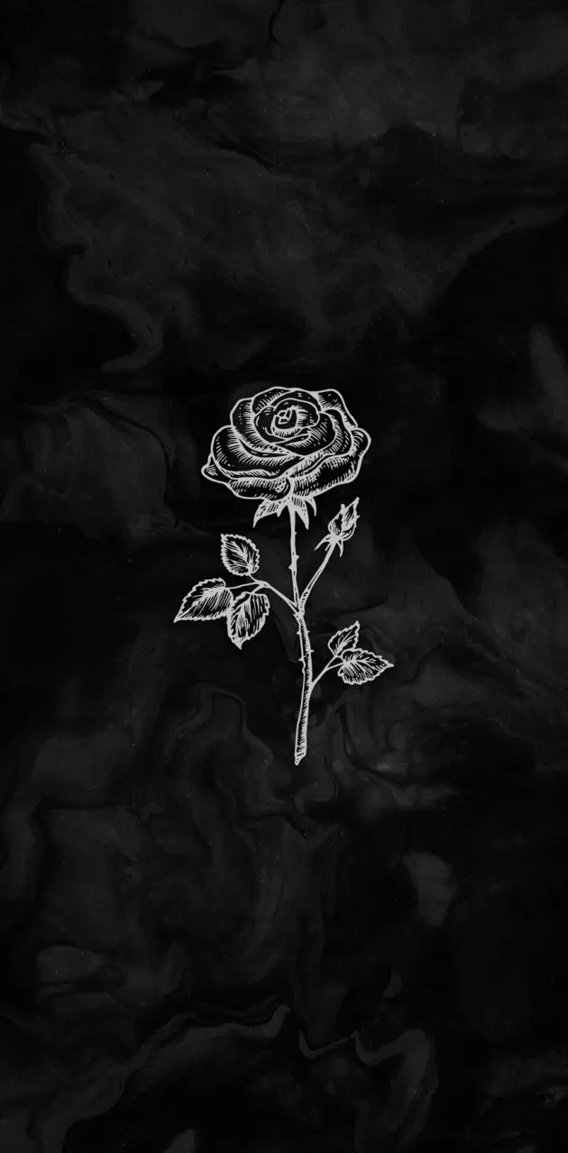black and white rose wallpaper