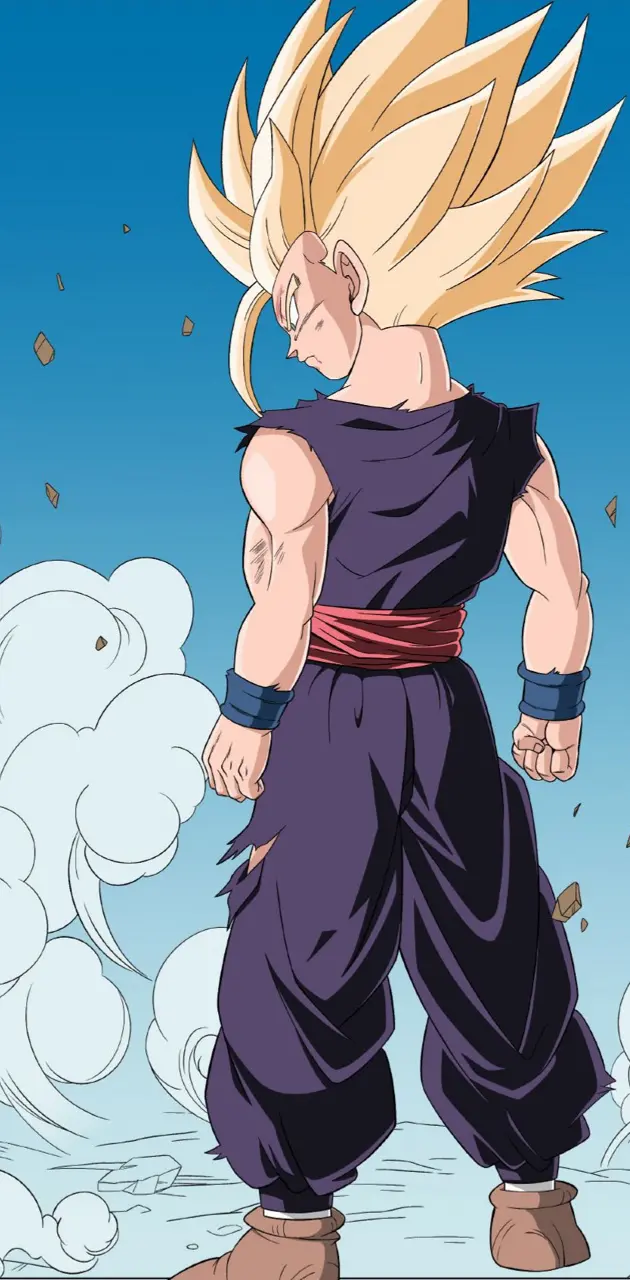 Gohan in the wind 