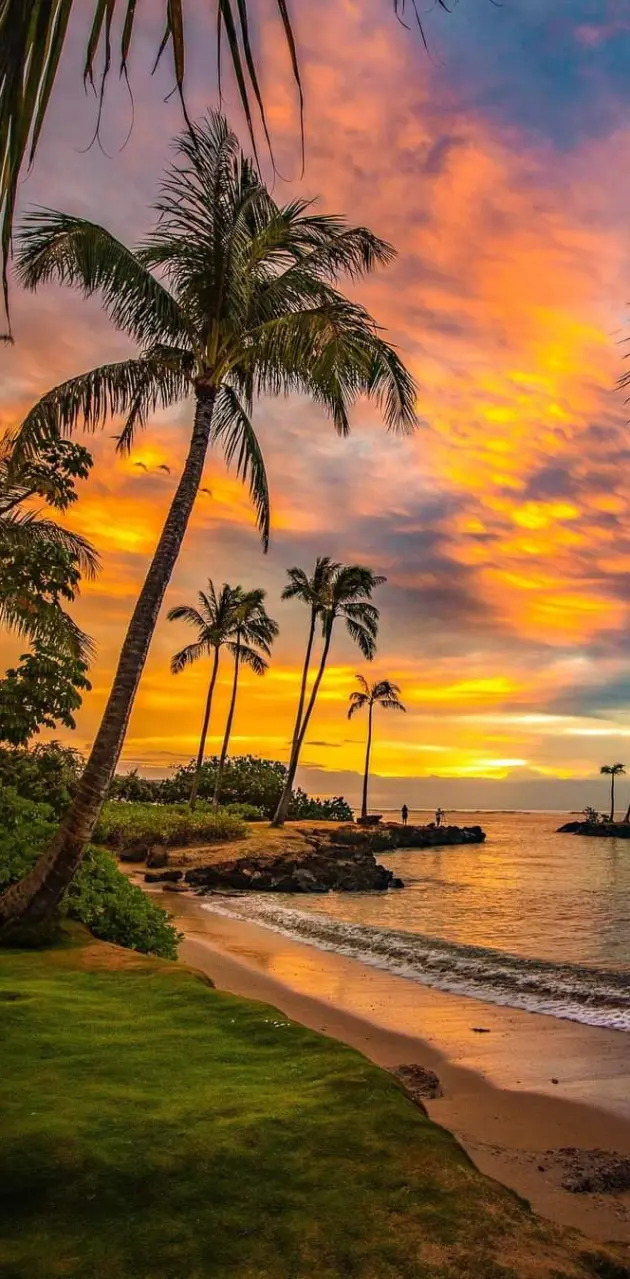 Oahu Hawaii 