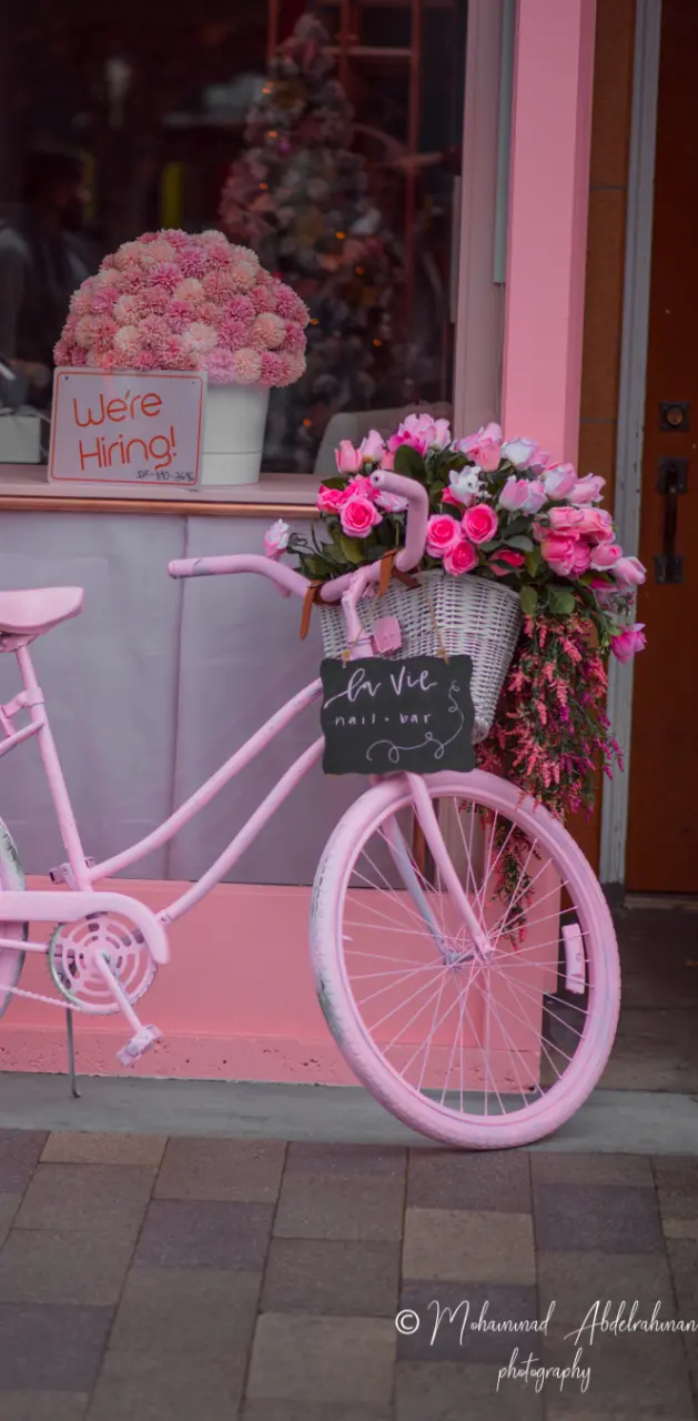 Pink bicycle 