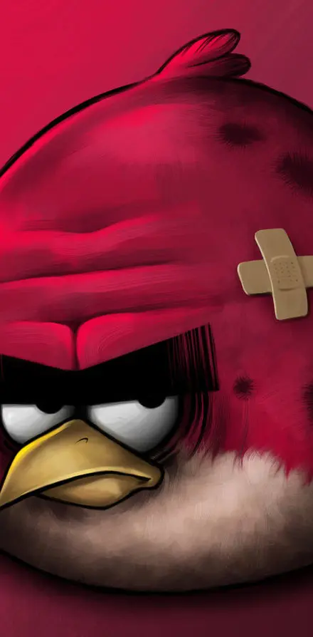 Big Bro Angry Bird