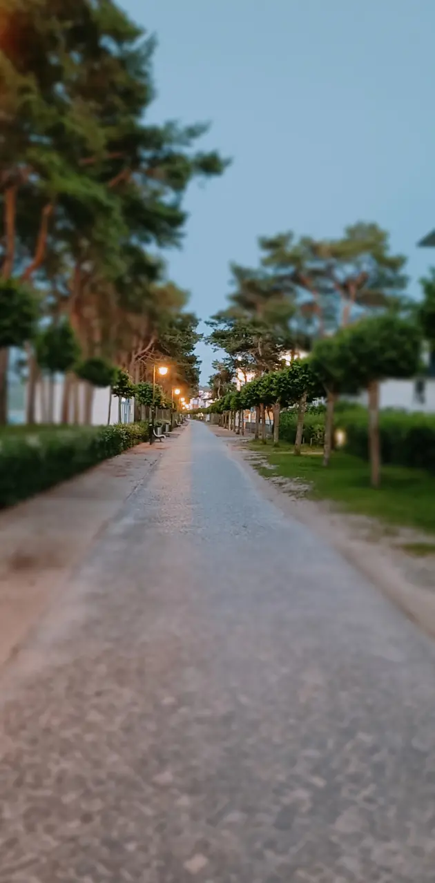 Promenade evening vibe