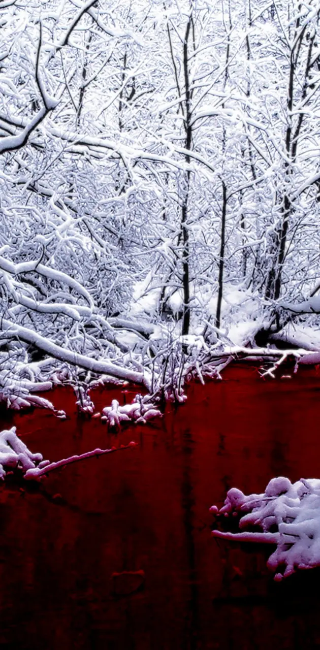 Snow and Red Lake