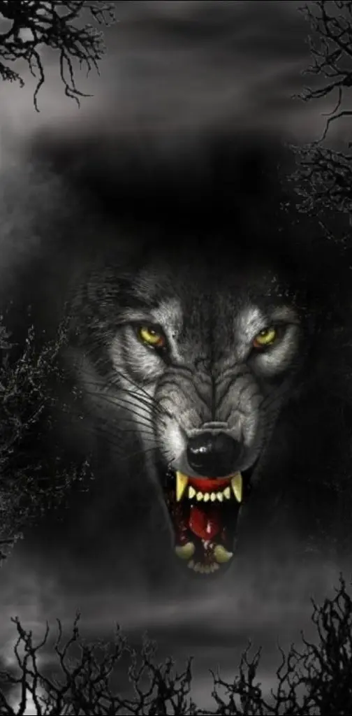 angry black wolf wallpaper