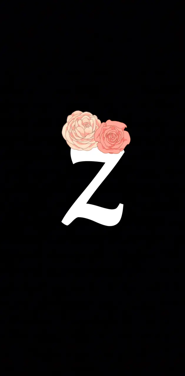 Letter Z initial