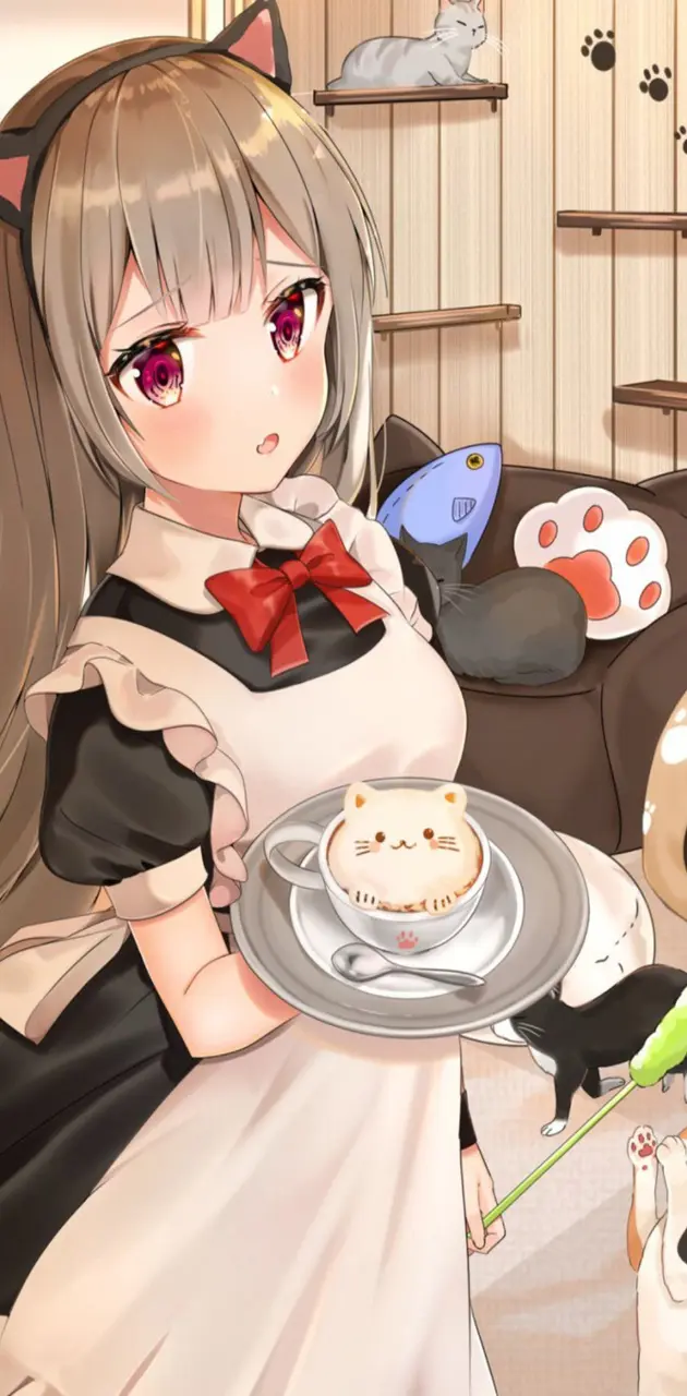 Anime CAT Cafe