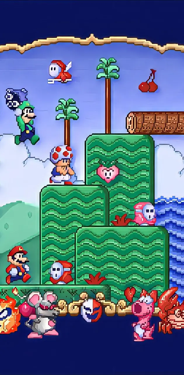 Super Mario Bros 2 ? : r/Mario