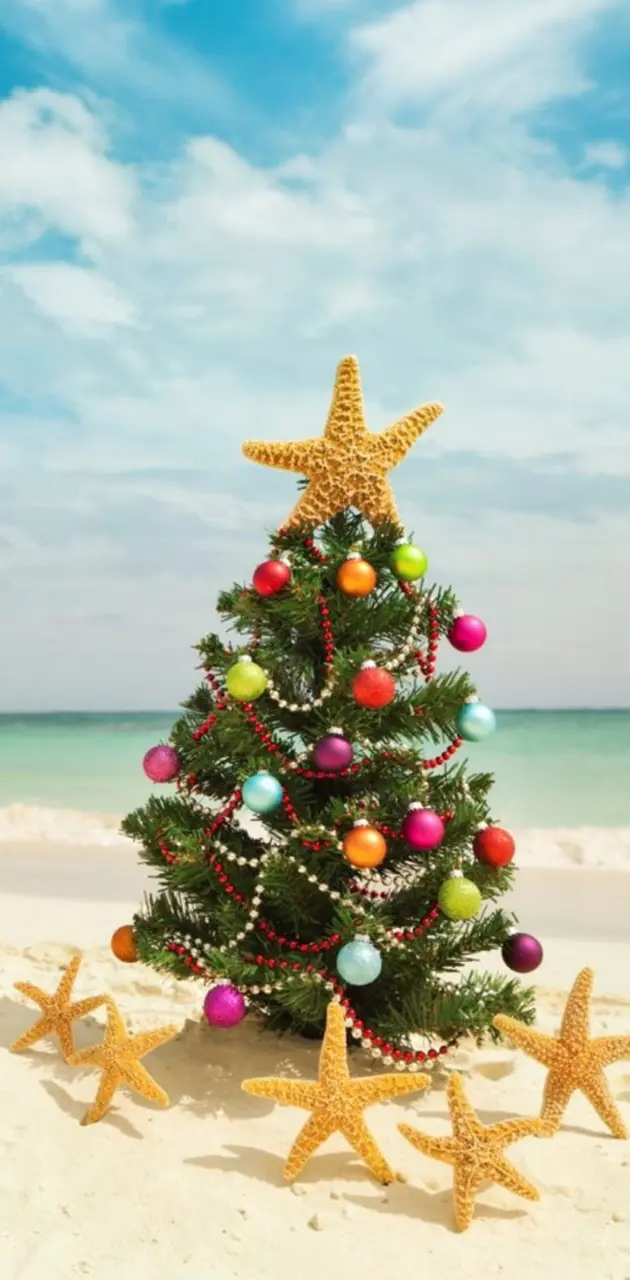 Christmas tree beach