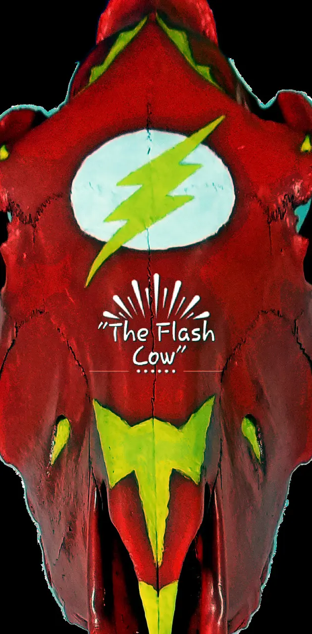 Flash cow