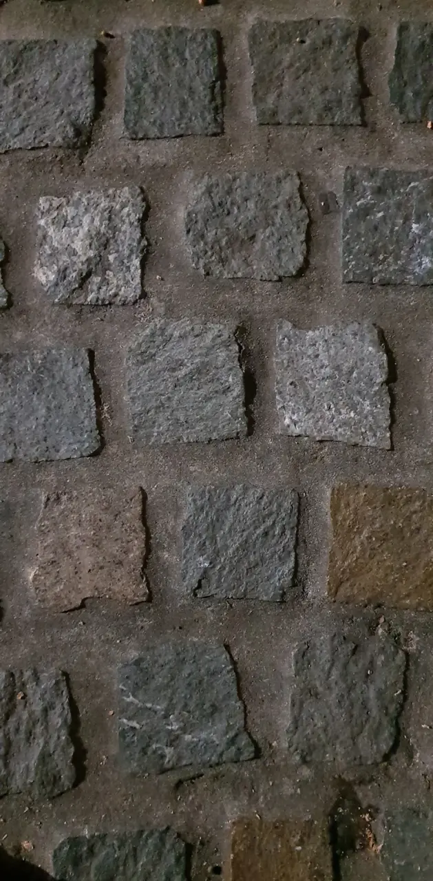 Paved brick