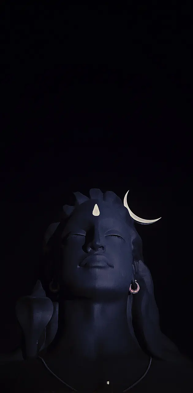 Shiva adiyog6
