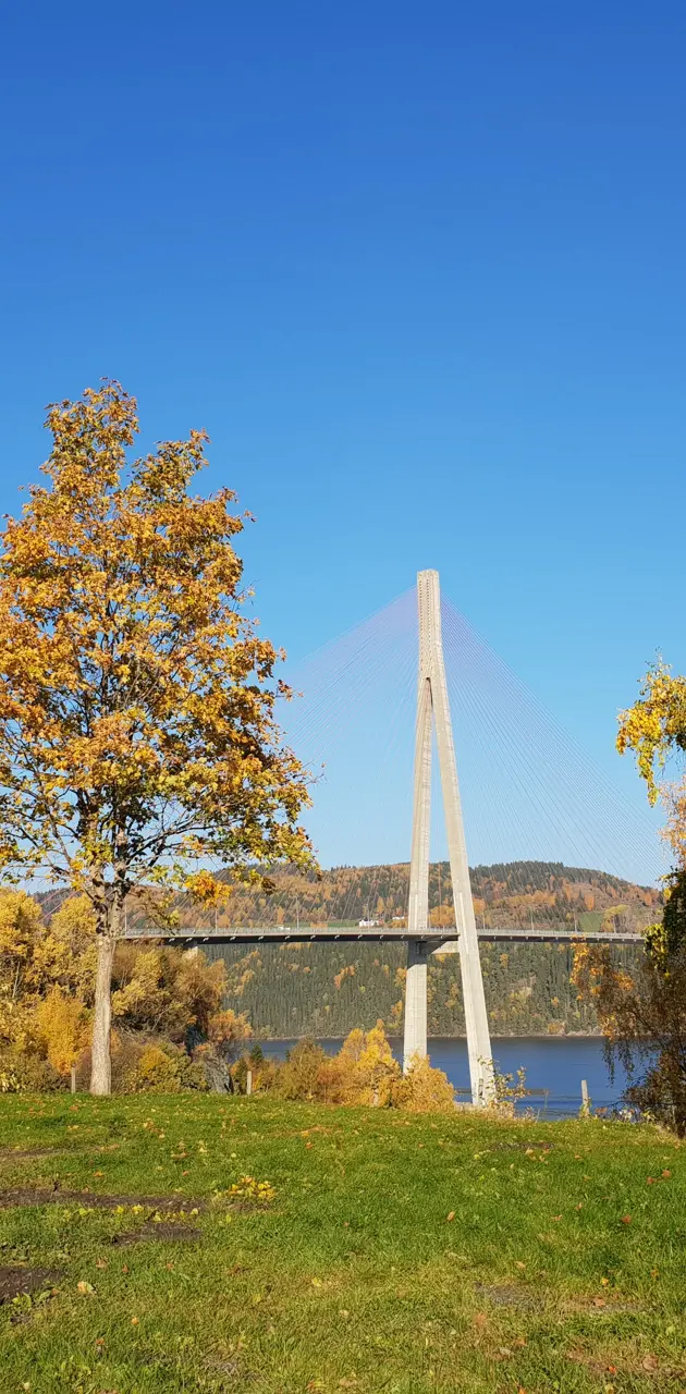Bridge autumn