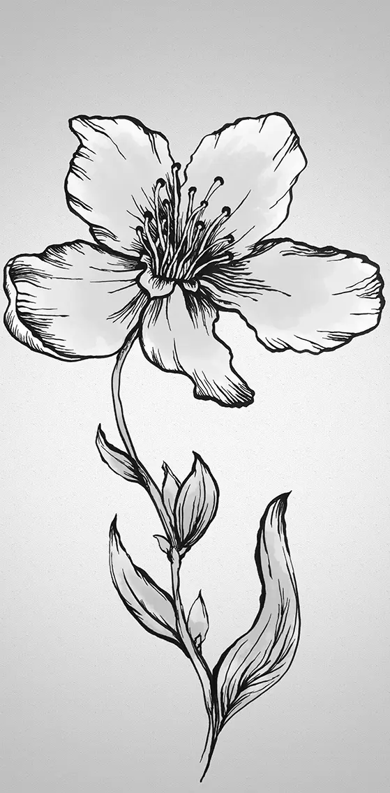 Orchid Tattoo
